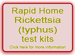 Buy HIV Home Kit rapid Rickettsia instant test kits, rapid typhus test kits for rapid Rikettsia results